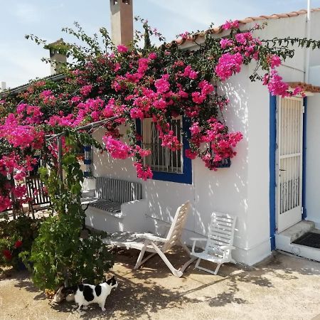 Finca La Joya Torreblanca Eksteriør billede
