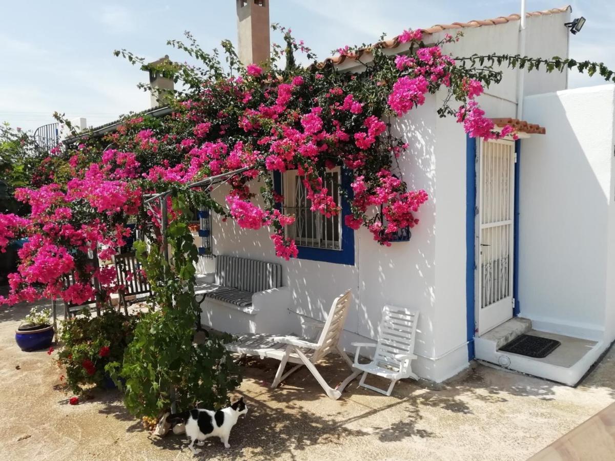 Finca La Joya Torreblanca Eksteriør billede