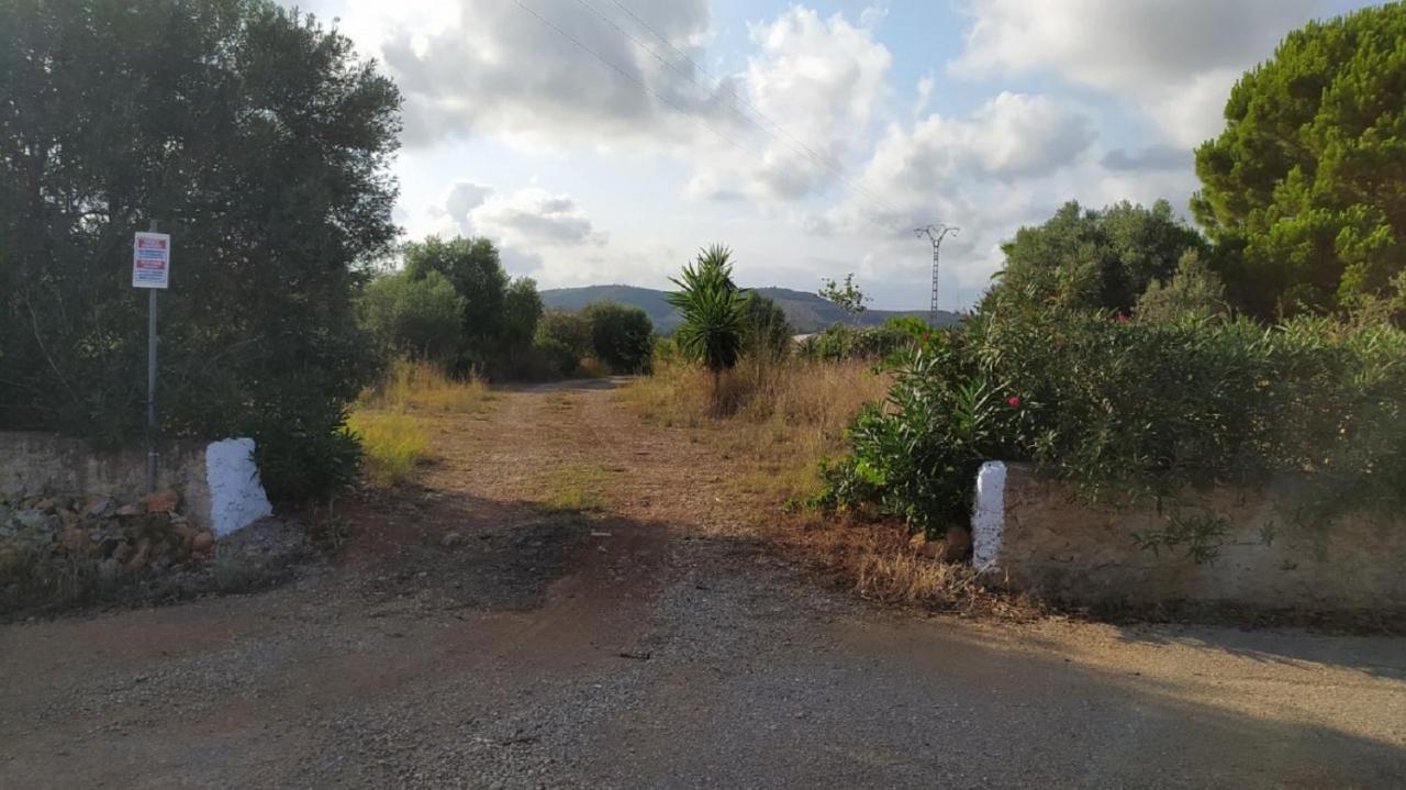 Finca La Joya Torreblanca Eksteriør billede