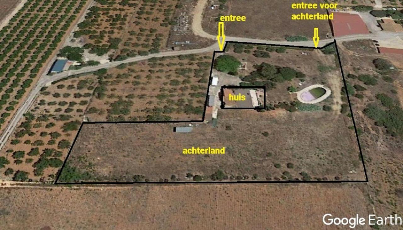 Finca La Joya Torreblanca Eksteriør billede